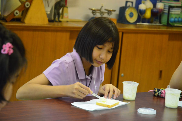 1-DSC_0763 (236)